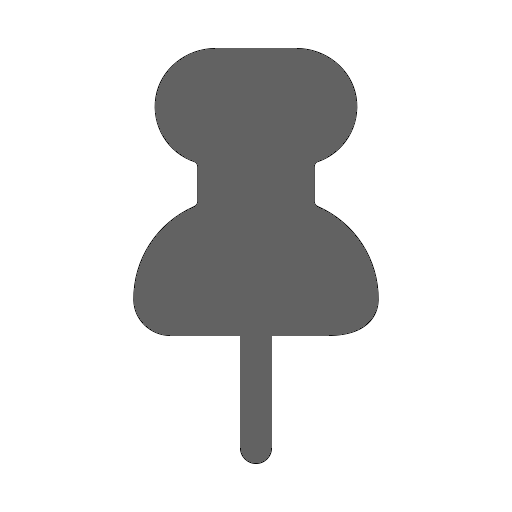 pin icon